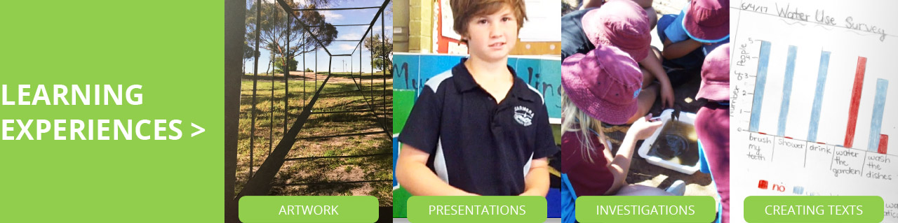 Learning Experiences: Artworks, Presentations, Investigations, Creating Texts