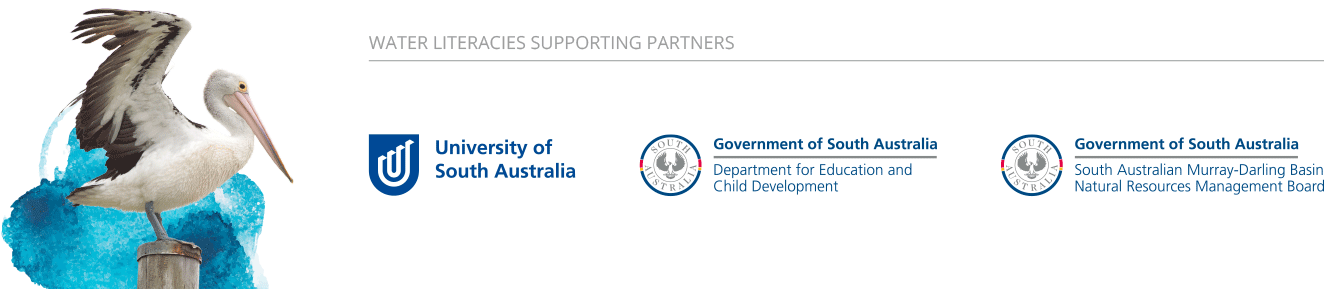 Water Literacies: Supporting Partners