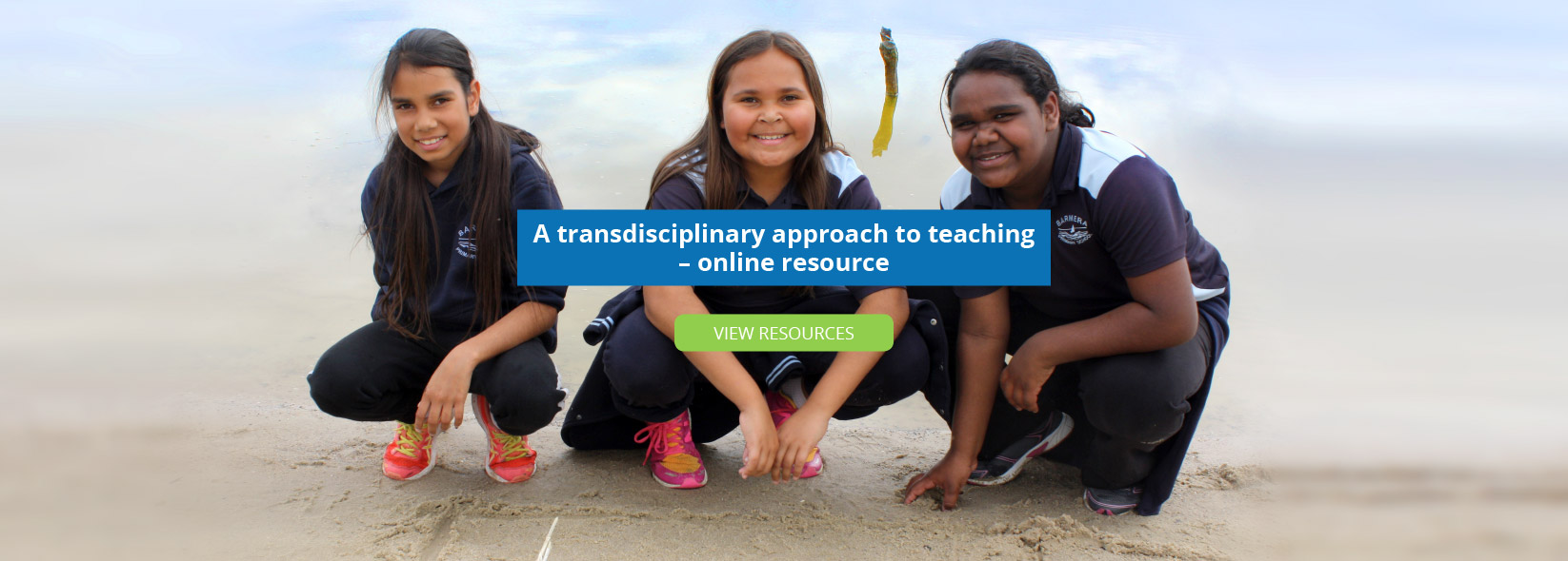 A transdisciplinary approach to teaching – online resource: View Resources